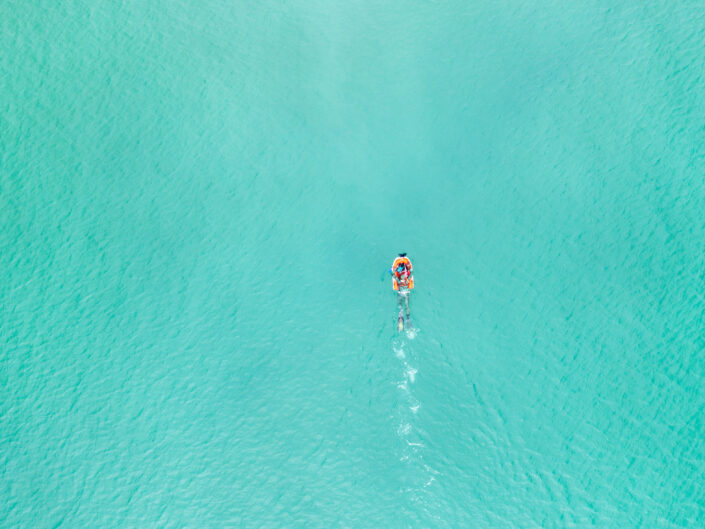 SNORKELING: ONE BREATH AWAY FROM SCALLOPS