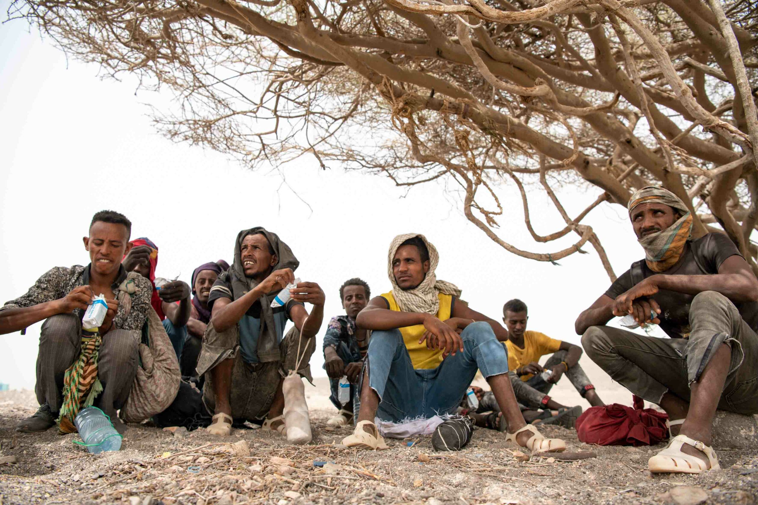 <strong>IOM Rescues More Than 100 Migrants Abandoned by Smugglers in Djibouti</strong>